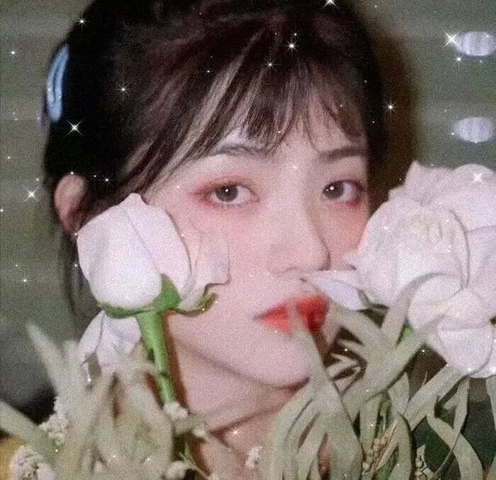 小说家电影